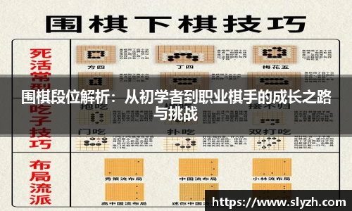 围棋段位解析：从初学者到职业棋手的成长之路与挑战