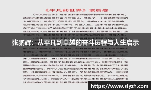 张鹏辉：从平凡到卓越的奋斗历程与人生启示