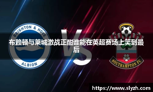 布赖顿与莱城激战正酣谁能在英超赛场上笑到最后